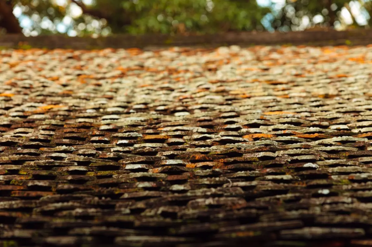 Aging shingle roof with moss growth and granule loss in Fernley, NV